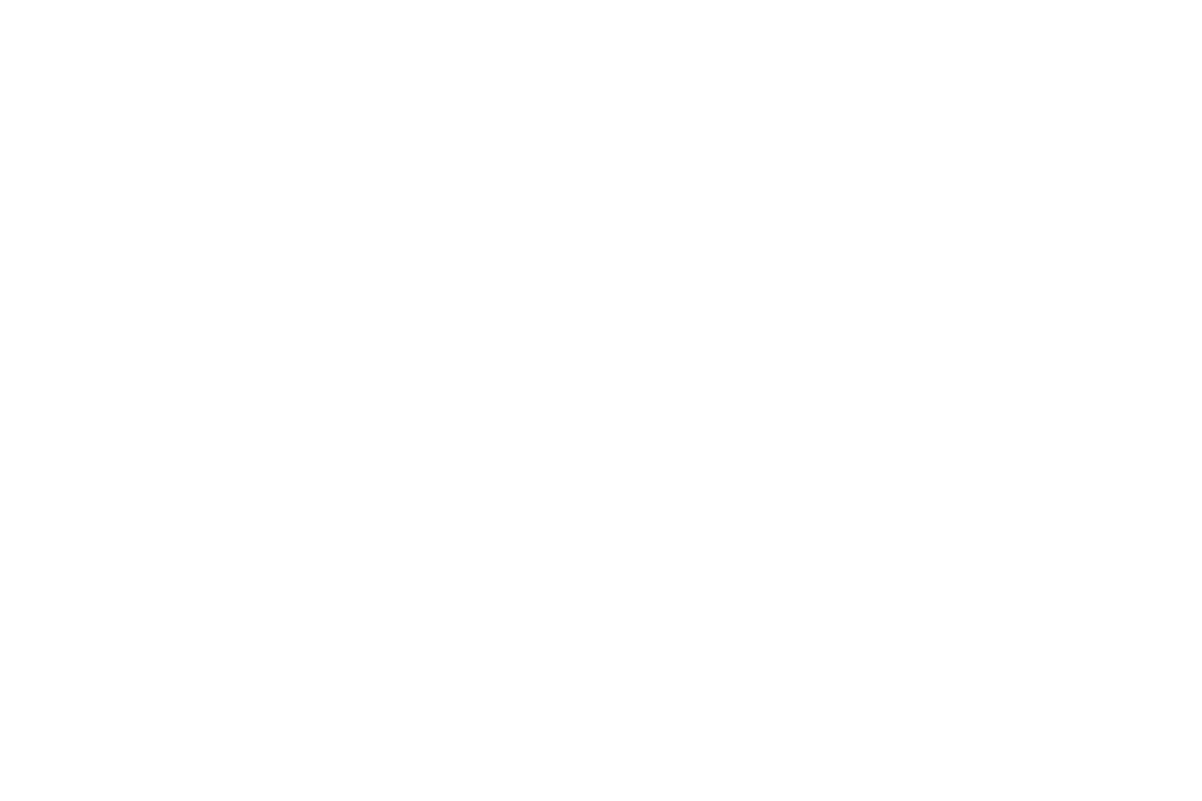 Skylime Logo